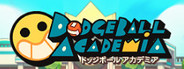 Dodgeball Academia System Requirements