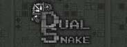 Dual Snake System Requirements