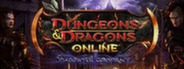 Dungeons and Dragons Online: Shadowfell Conspiracy System Requirements