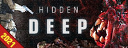 Hidden Deep System Requirements