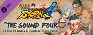 NARUTO SHIPPUDEN: Ultimate Ninja STORM 4 - The Sound Four Characters Pack System Requirements