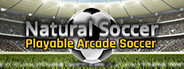 Natural Soccer System Requirements