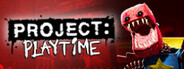 PROJECT: PLAYTIME System Requirements