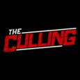 The Culling System Requirements