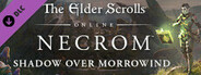 The Elder Scrolls Online: Necrom System Requirements