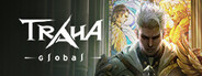 TRAHA Global System Requirements