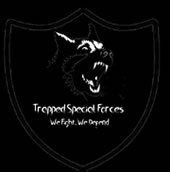 Trapped Special Forces System Requirements