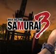 Way of the Samurai 3 System Requirements